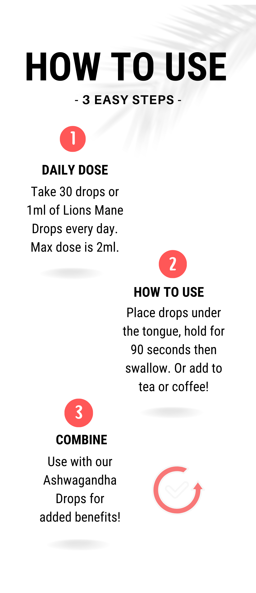 HOW TO USE Lions Mane (1) (1)