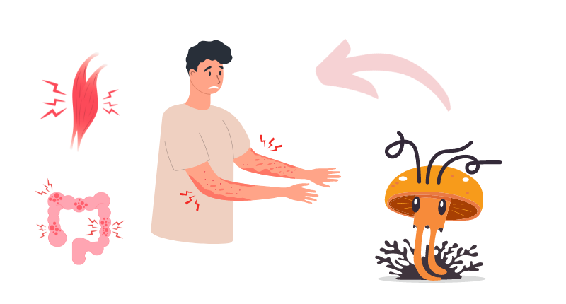 CORDYCEPS AND INFLAMMATION