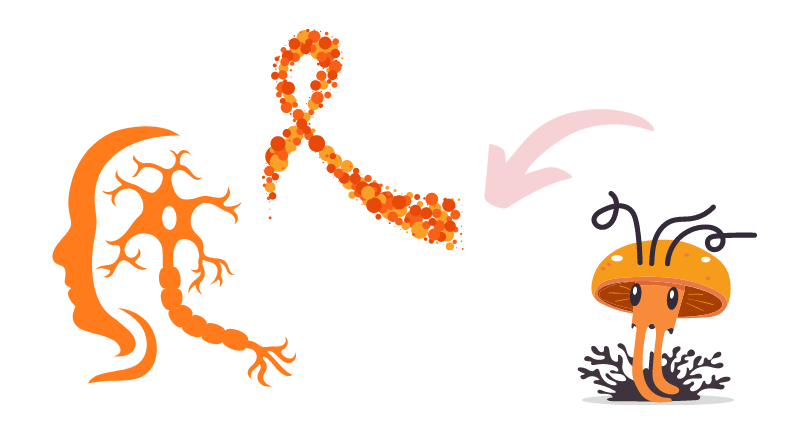 UNDERSTANDING CORDYCEPS MILITARIS